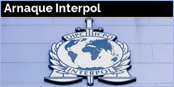 vignette interpol